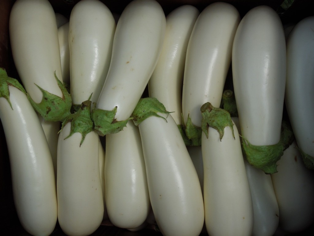 New crop this year - white eggplant.